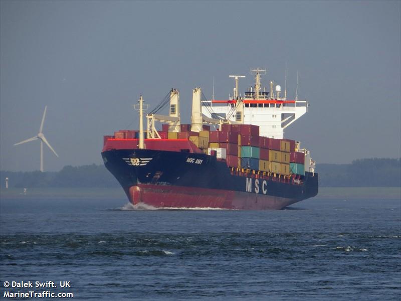 msc amy